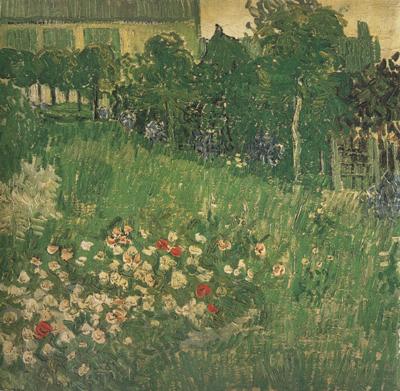 Vincent Van Gogh Daubigny's Garden (nn04) oil painting picture